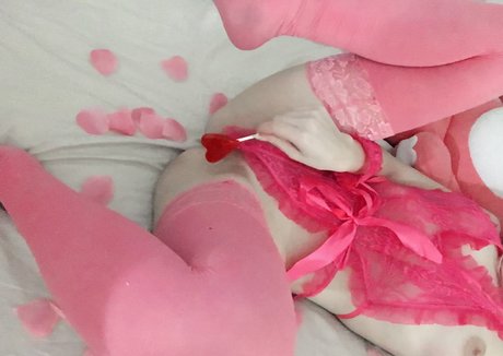 Himedeary model pornographic photo