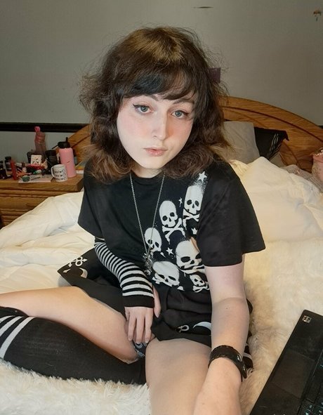 korvid snd model art galleries