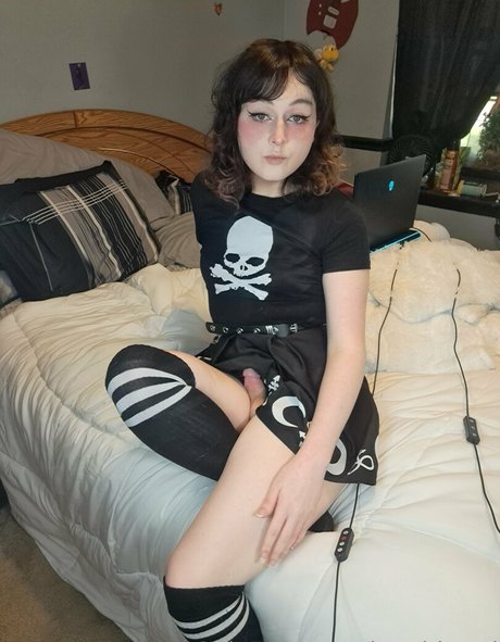 korvid snd hd star galleries