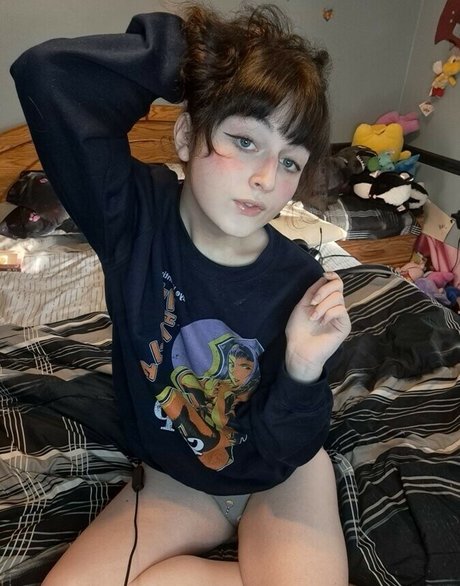 korvid snd pornographic star pic