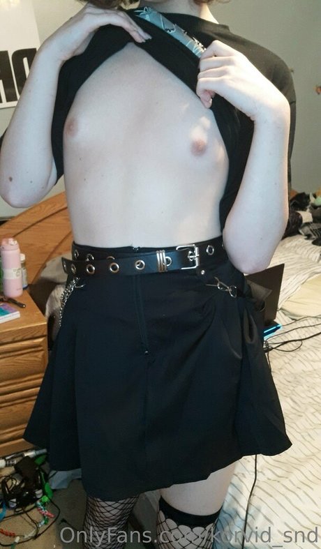 korvid snd free model picture