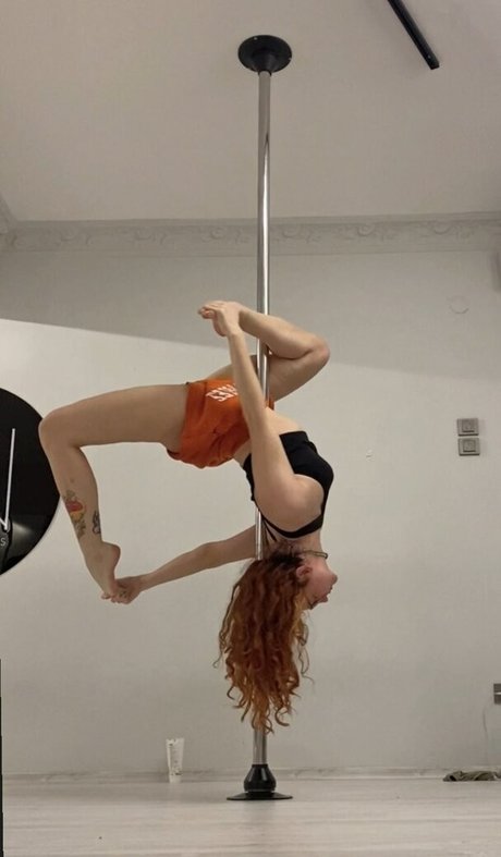 Dixowho star porn gallery