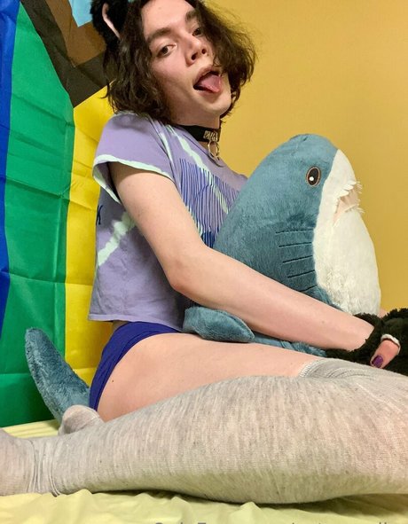 catsnvodka pornstar sexy pics