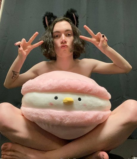 catsnvodka porn star images