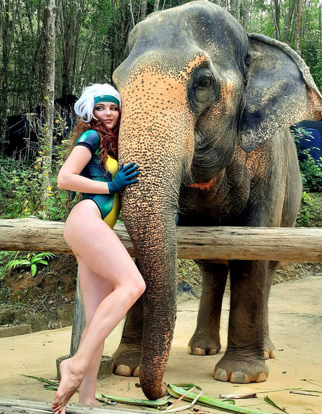 AGflower Cosplay beautiful star archive