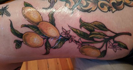 finchgallows pornstar pretty galleries