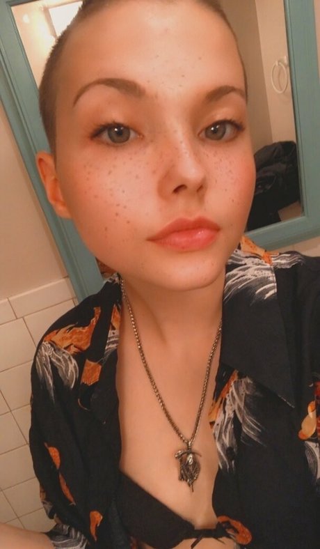 punksmutt star high quality image