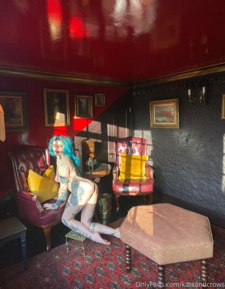 Katsandcrows best star archive