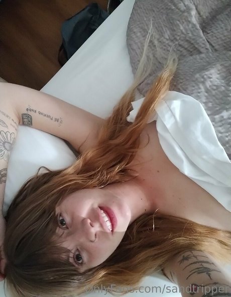 sandtripper best model gallery