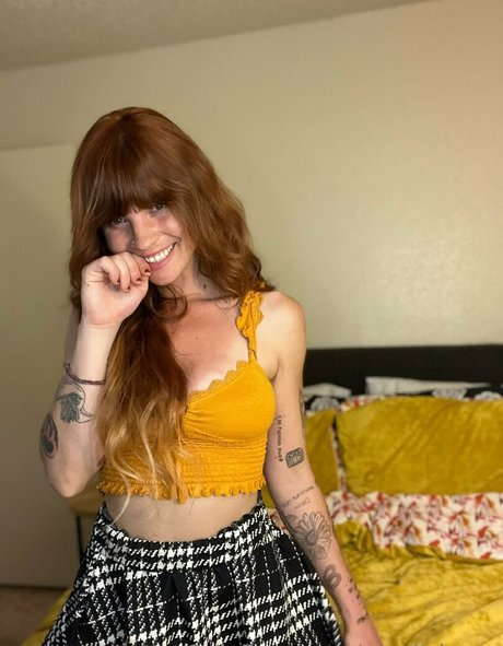 sandtripper model hd img