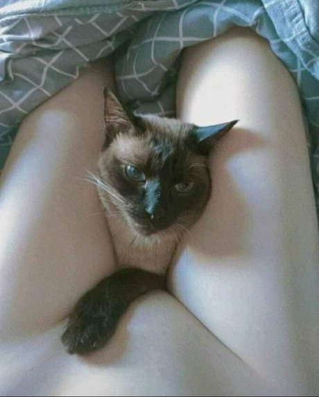 Yuusachii perfect actress image