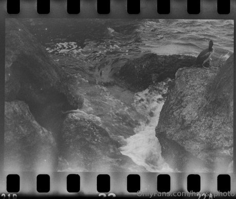 hanscphoto Profile pic