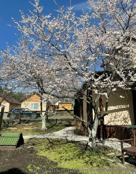 taya bliss free star pic