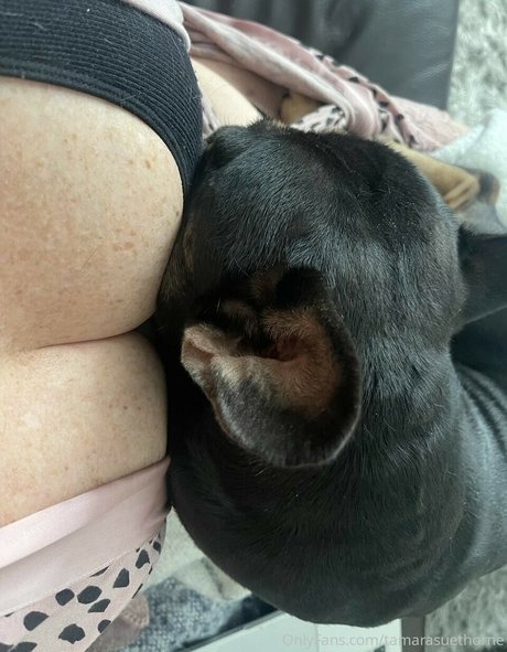 Tamara Sue Thorne art pornstar pictures