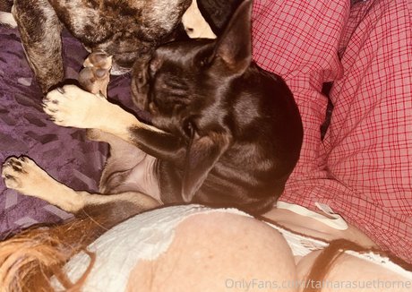 Tamara Sue Thorne star sexy picture