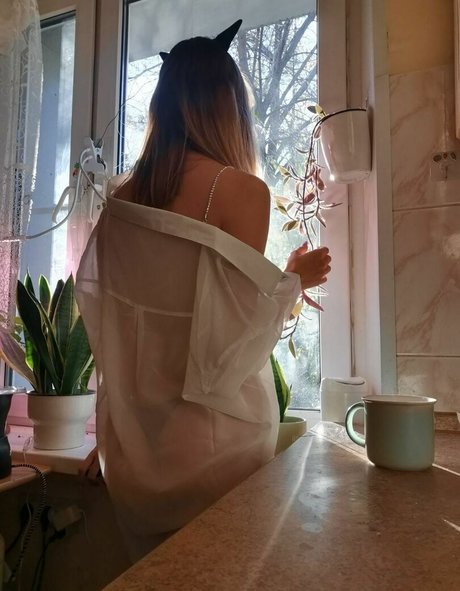 funsnail xxx pornstar pics