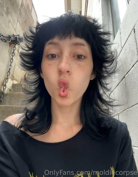 moldiecorpse high quality star img