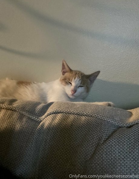 theultimatedeciever adult actress gallery