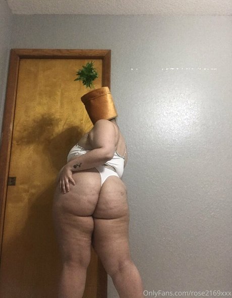 kushunlimited pornstar nudes galleries