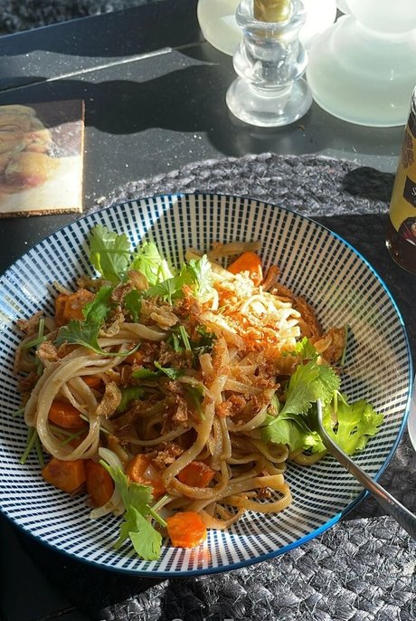 elixerr model free gallery