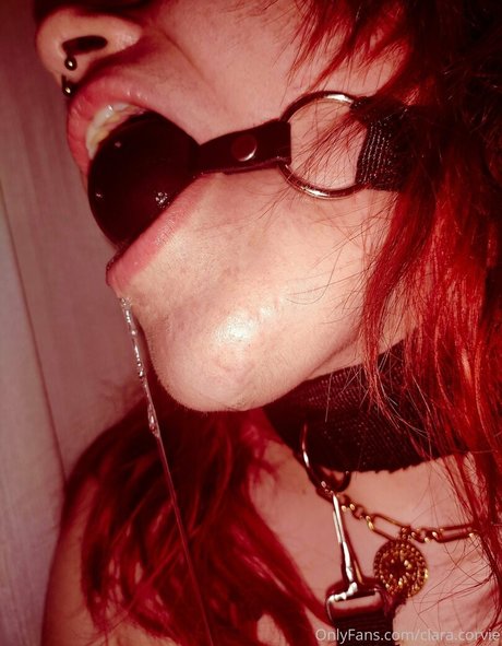 clara corvie adult actress archive