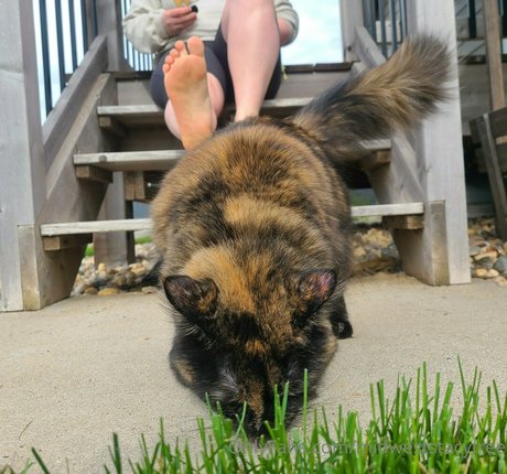 midweststacyfree perfect model picture