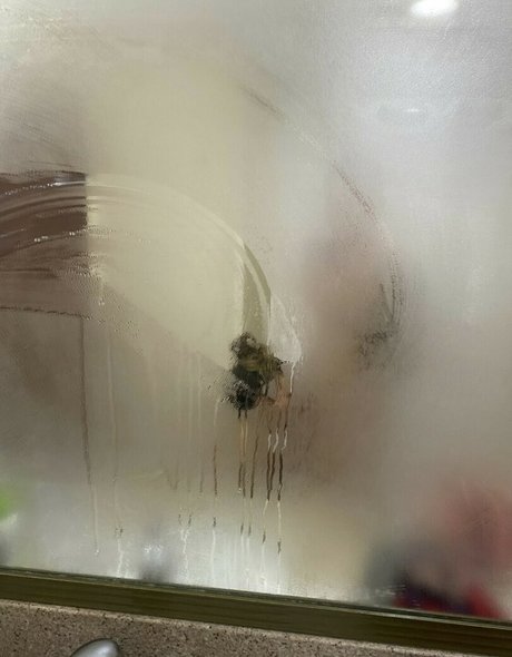 Hannaasmithhh_ naked actress images