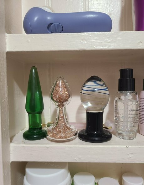 toasterd best model picture