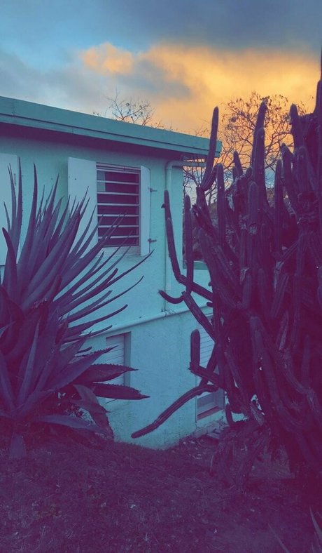 ravenhex3 star sex images