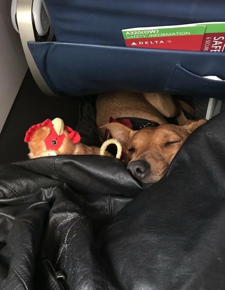 ravenhex3 sexy pornstar gallery