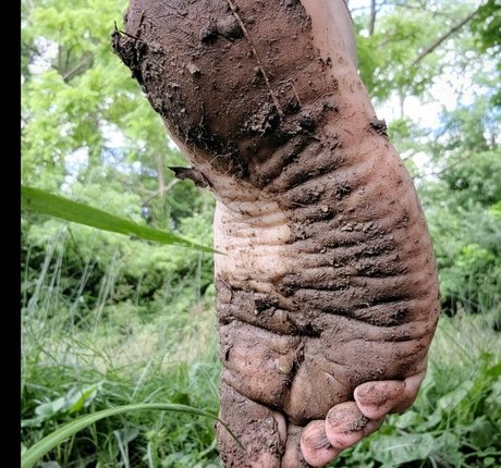 goddessaubrislav pornstar exclusive photo