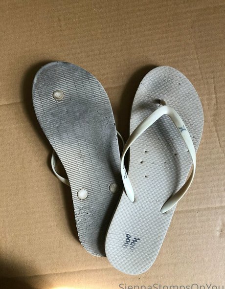 siennastompsonyou star best images