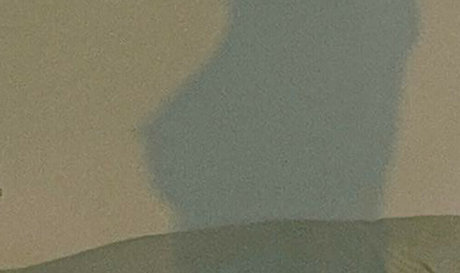 Madison Lewis Profile pic