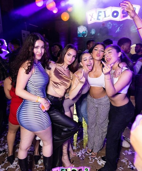 Dessxmx best model archive