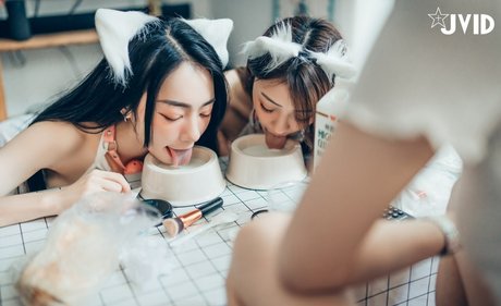 Tsai 919 sexy star galleries