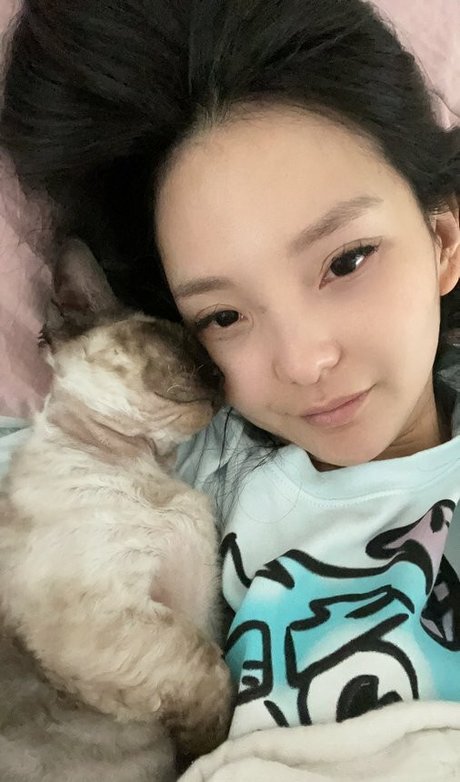 Codemiko Profile pic