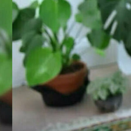 jaybaesun art pornstar images