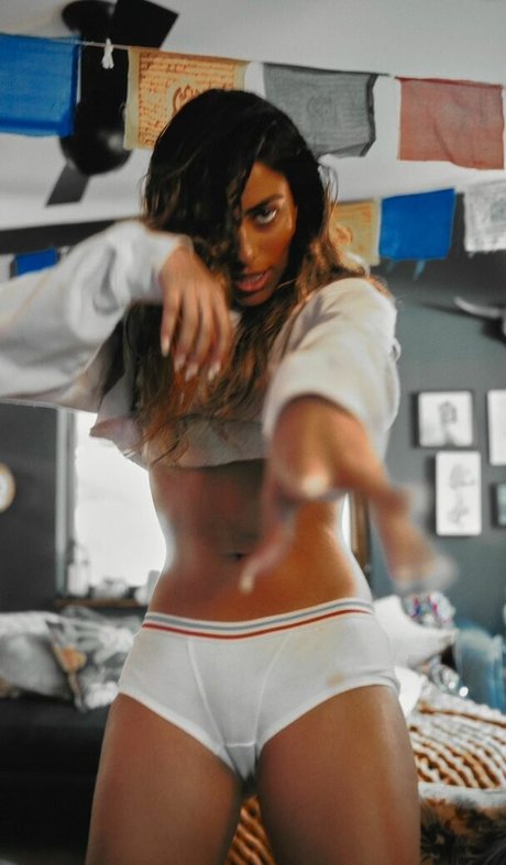 druflecha star art galleries