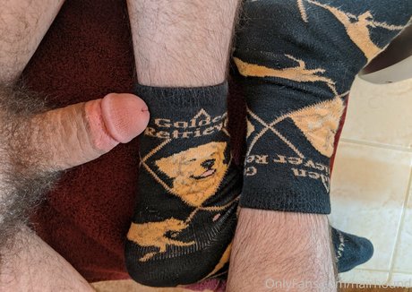 hairhound art star img