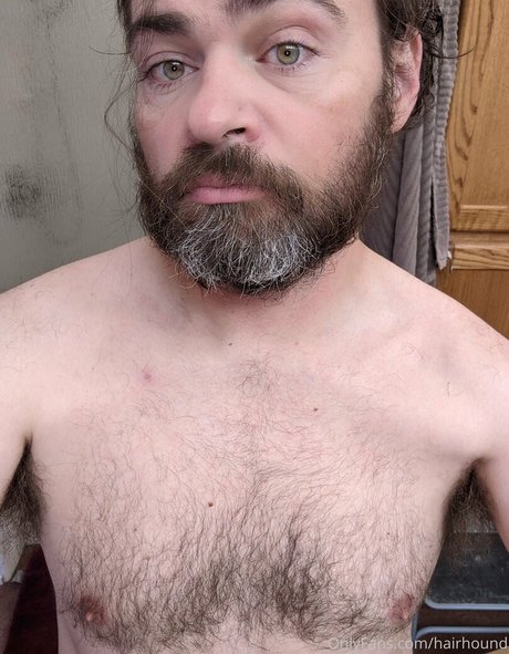 hairhound art star pics