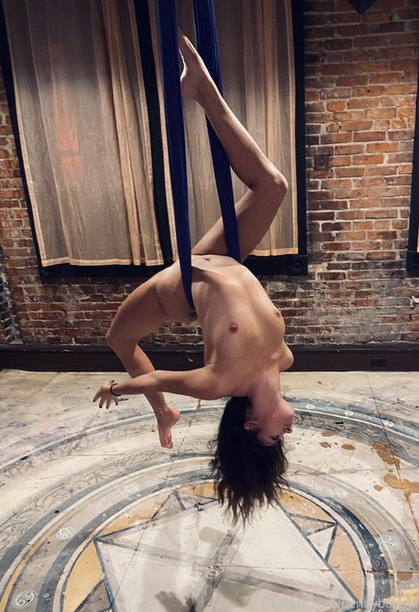 Bendy best star pics