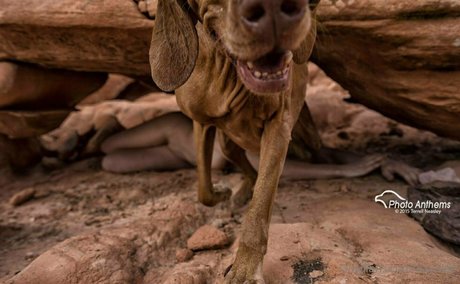 kaycilee adult star galleries