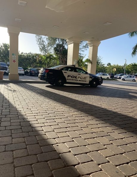 aliciaa starchild free star galleries