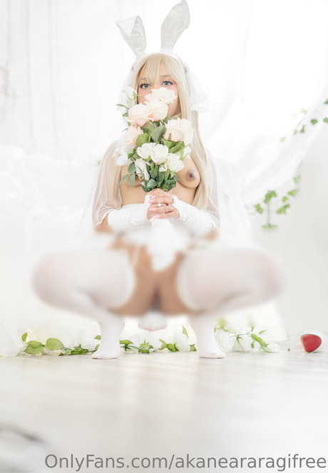 akaneararagifree free model archive