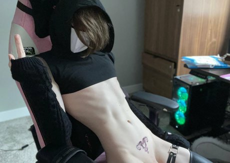 Catboiaoi star hd galleries