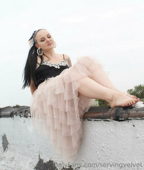 servingvelvet porn star picture