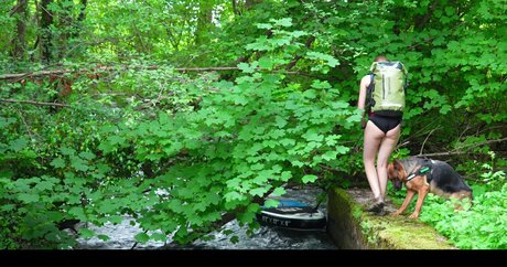 Vanessa Blank star porn img