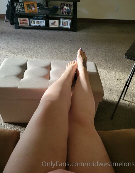 midwestmelons Profile pic