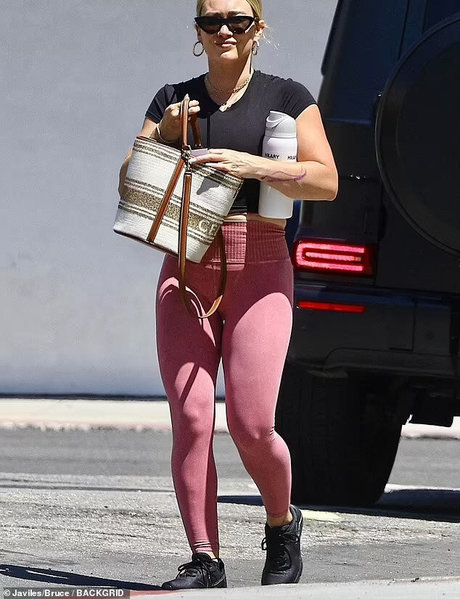 Hillary Duff high quality actress pic