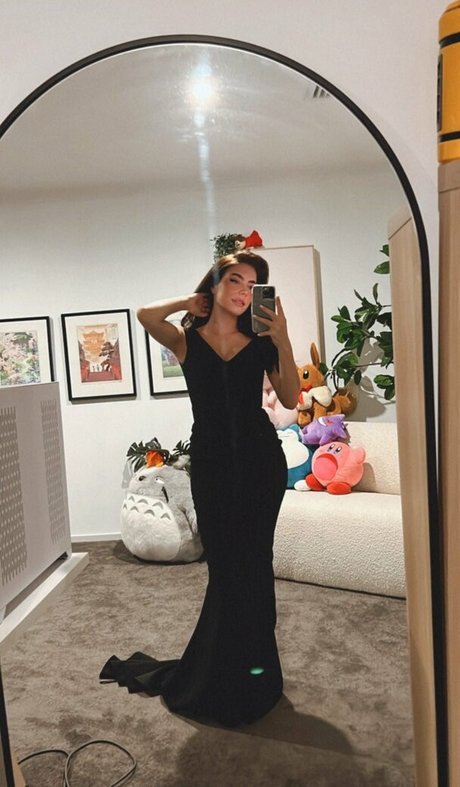 Paladinamber Profile pic